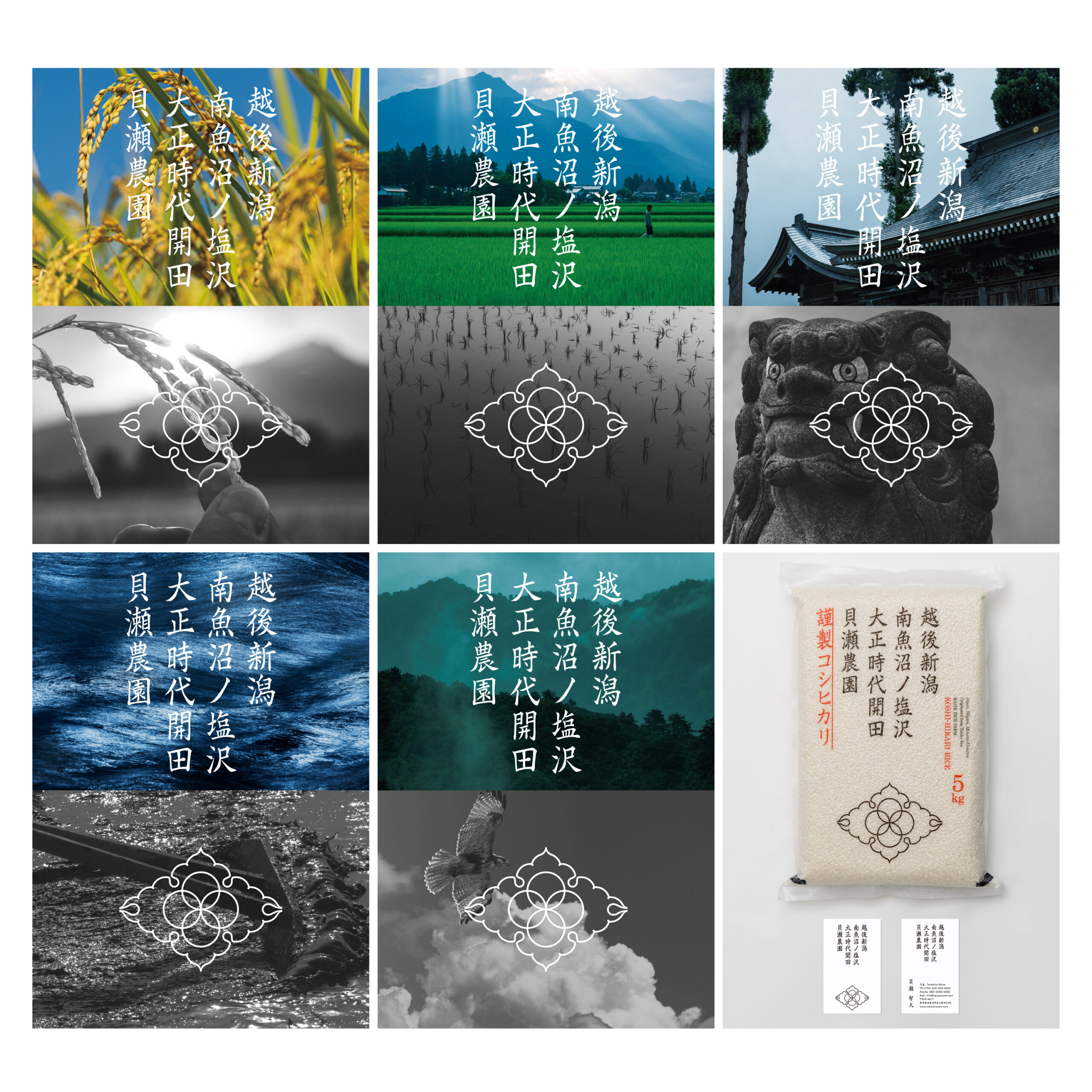 2025年度 受賞作品